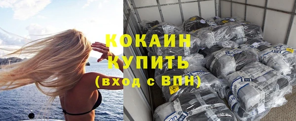 дживик Липки