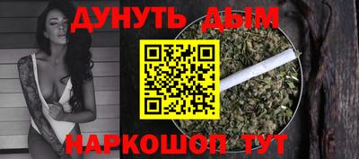 крисы Гай