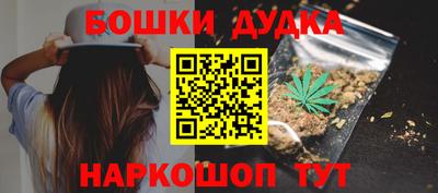крисы Гай