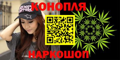 крисы Гай
