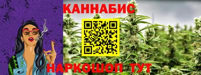 крисы Гай