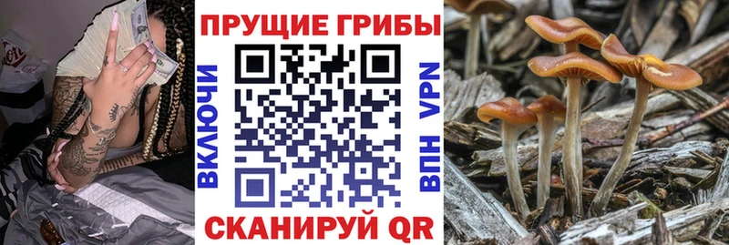 Псилоцибиновые грибы мухоморы  Нарьян-Мар 