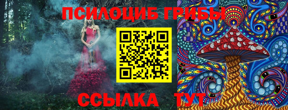 Псилоцибиновые грибы Psilocybe Нарьян-Мар