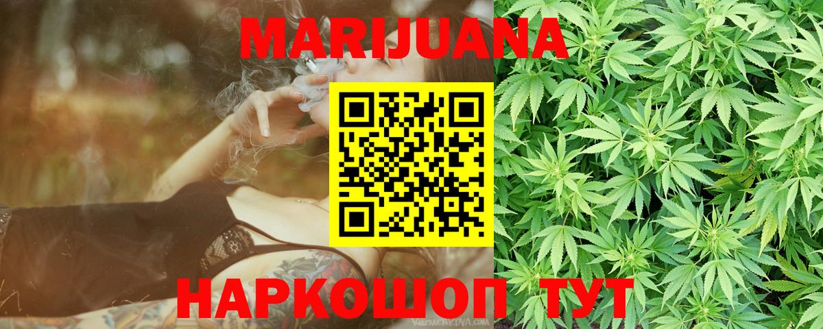 Бошки Шишки гибрид  Каннабис сатива  Каннабис планчик  Нарьян-Мар  Каннабис VHQ 